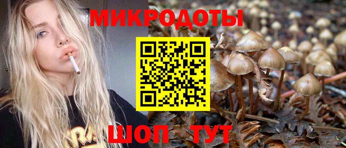 Галлюциногенные грибы MAGIC MUSHROOMS  Псилоцибиновые грибы мухоморы  Вход с VPN  Лабинск 