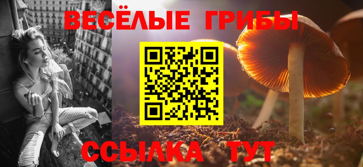 Псилоцибиновые грибы Magic Shrooms Лабинск